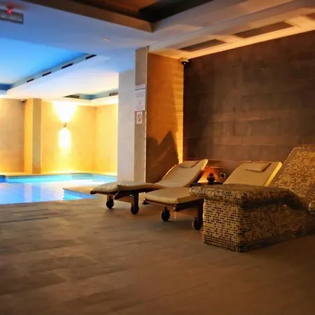 亚历山大皇宫酒店及spa 斯科普里