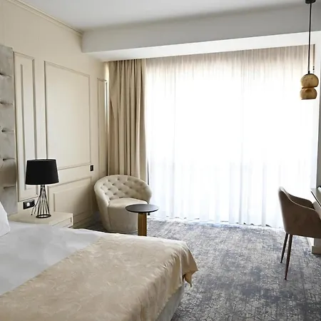 ホテル Aleksandar Palace Congress Center & 5*