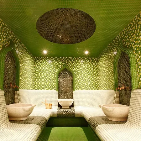 Aleksandar Palace Congress Center & 5* סקופיה