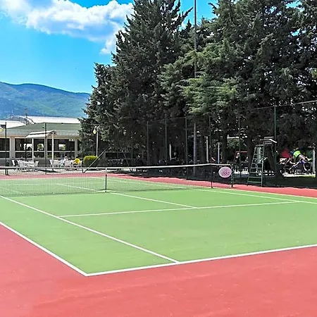 Aleksandar Palace Congress Center & 5*