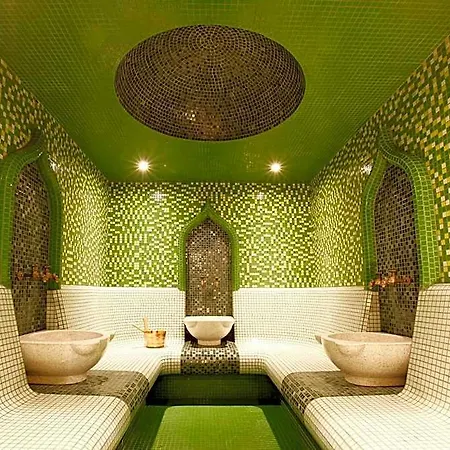 호텔 Aleksandar Palace Congress Center & 5*
