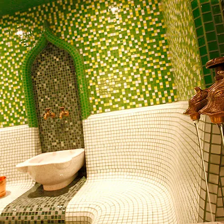 מלון Aleksandar Palace Congress Center & 5*