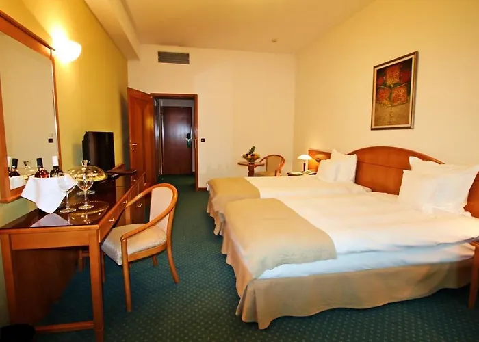 Aleksandar Palace Congress Center &