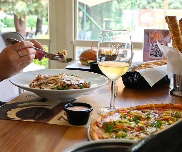 Aleksandar Palace Congress Center & ホテル 5*