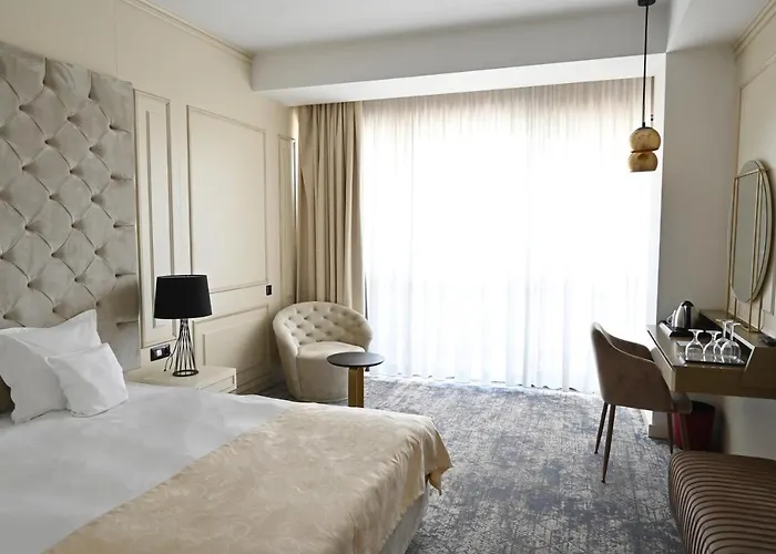 ホテル Aleksandar Palace Congress Center & 5*