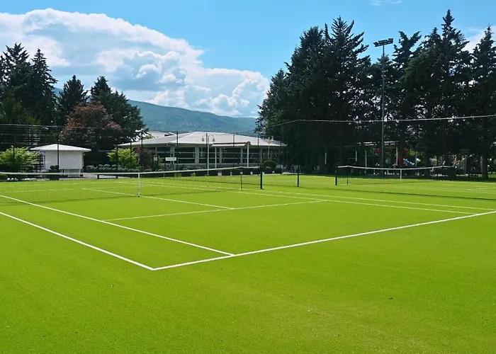 ホテル Aleksandar Palace Congress Center & スコピエ